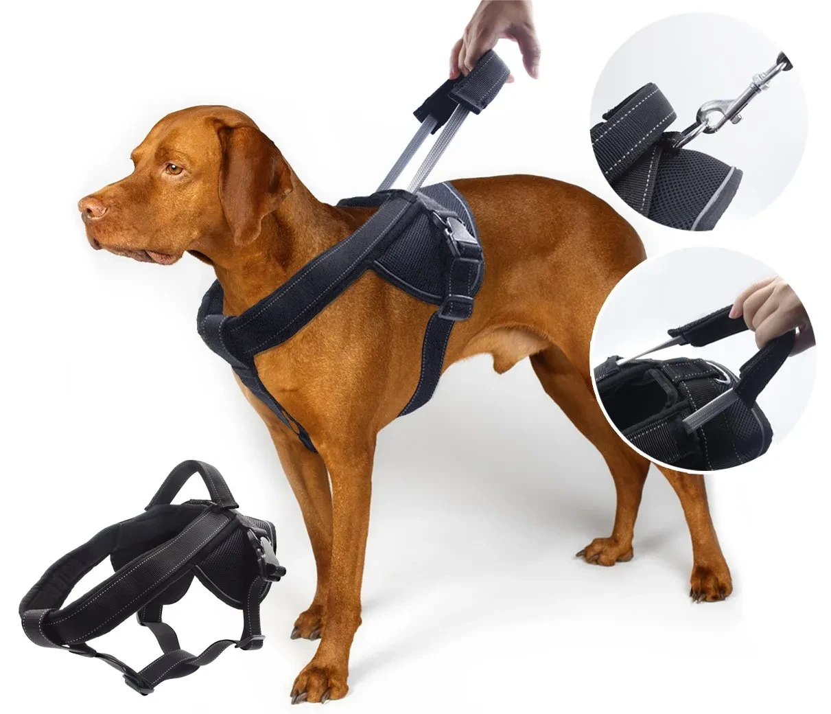 Pets Harness P338 XL