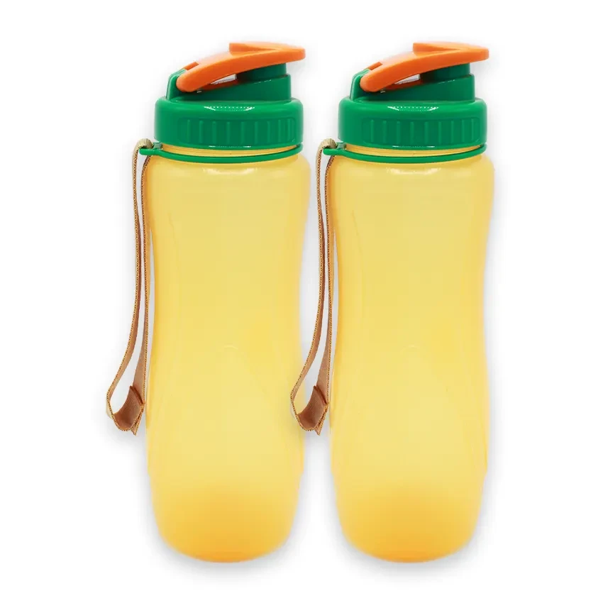 Spring Water Bottle 650ML