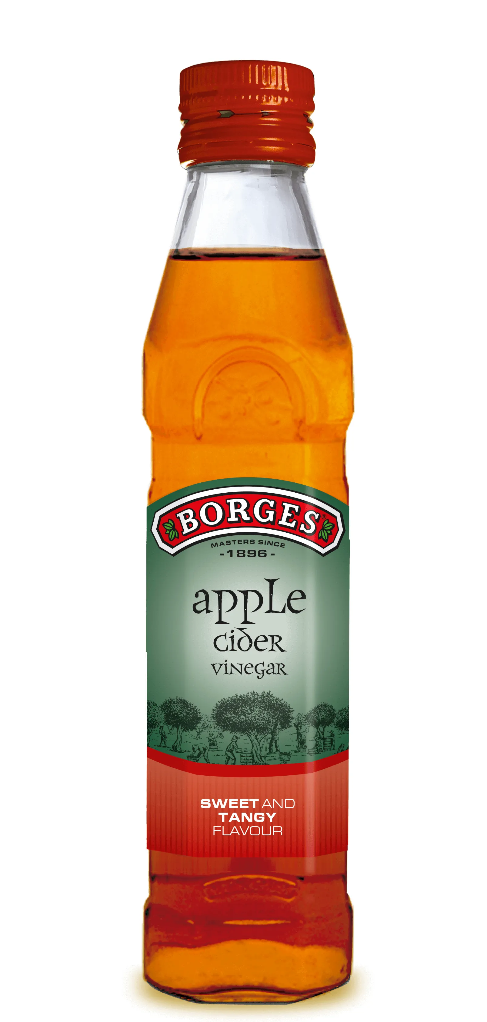 Borges Apple cider Organic 500ML