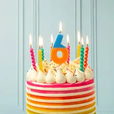Birthday Celebration Number Candle 6