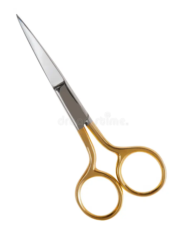 Professional Scissor Golden Small