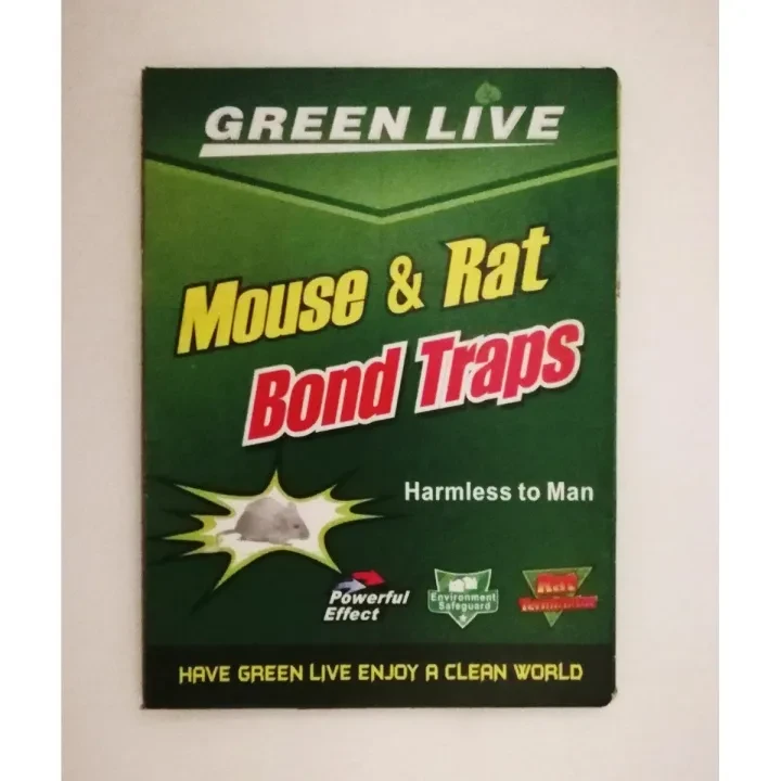 Green Live Mouse And Rat Trap Book