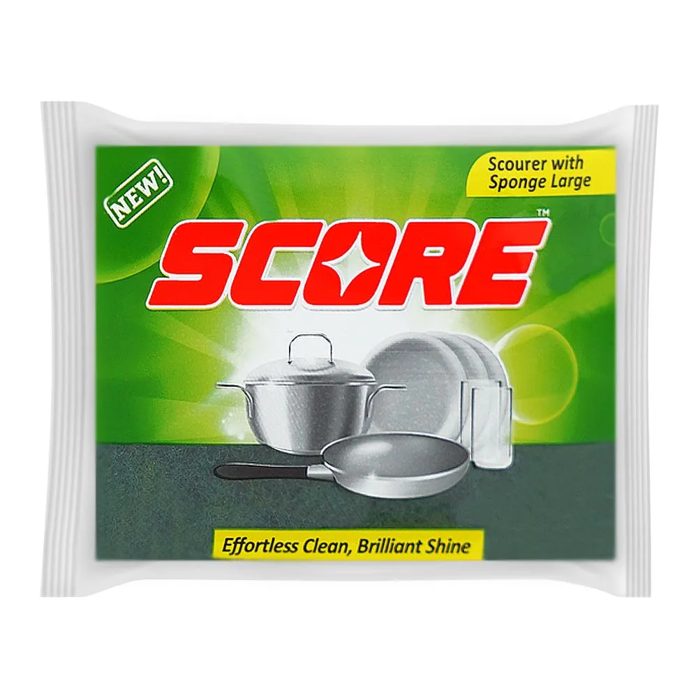 Score Scouring Sponge Regular